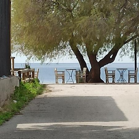 Ψάθα Παραλία Villa Luaran gambar